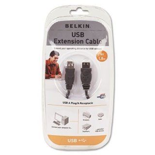 Belkin F3U134V06   Pro Series High Speed USB 2.0 Extension Cable, 6 ft. BLKF3U134V06 Computers & Accessories