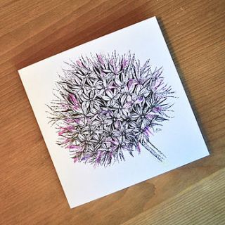 allium greeting card by ella johnston art and illustration