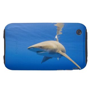 Oceanic Whitetip Shark, Hawaii iPhone 3 Tough Covers