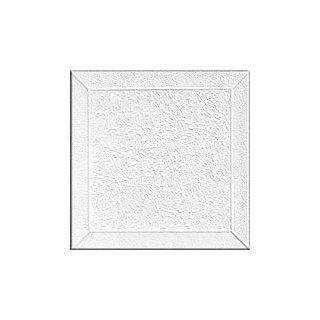 R 127 Styrofoam Direct Glue Up Ceiling Tile (20x20)