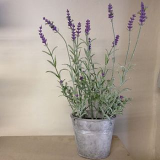 artificial lavender pot by velvet brown