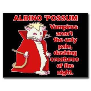 Funny Albino Possum Vampire Animal Postcard