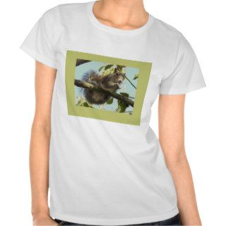 Funny Squirrel T Shirt