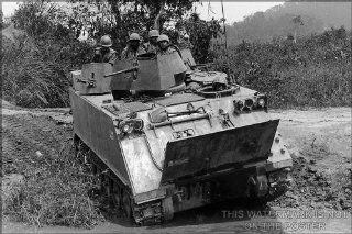 M113, Armored Personnel Carrier APC, Vietnam 1966   24"x36" Poster  Prints  