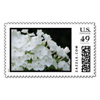 white hydrangea stamps