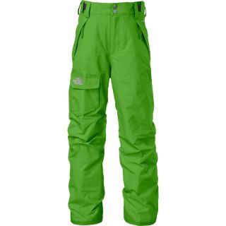 The North Face Freedom Insulated Pant   Boys