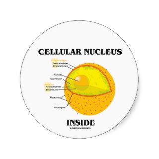 Cellular Nucleus Inside (Cell Biology) Stickers