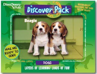 Dog Discover Pack, Beagle Toys & Games