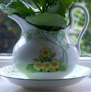 vintage window planter primrose by the vintage tea cup