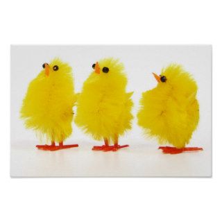 Easter baby chicks Poster