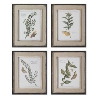 Uttermost Butterfly Plants 4 Piece Framed Painting Print Set