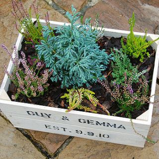 personalised crate   planted with heathers by plantabox