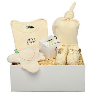 ikkle baby organic baby gift box by molliemoo