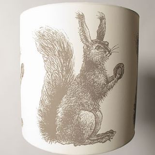 mr squirrel lampshade by charlotte gale