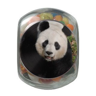 Cute Panda Bear Jelly Belly Candy Jars