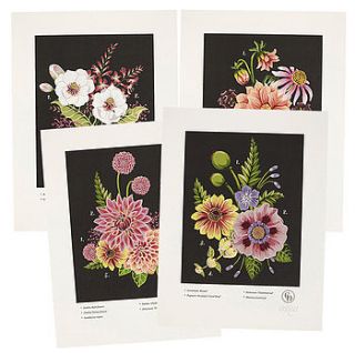 set of four blooms collection prints by charlotte day