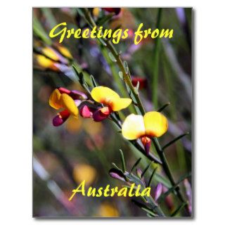 Yellow Boronia, Greetings , Australia Post Cards