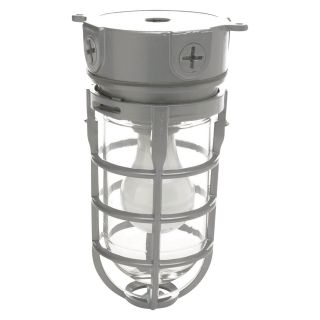 Designer's Edge Weathertight Ceiling Mount Barn Light — 120 Volt, Model# L-1706  Outdoor Lighting