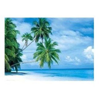 Posters Islands Poster   Fihalhohi, Maldives (36 x 24 inches)   Prints