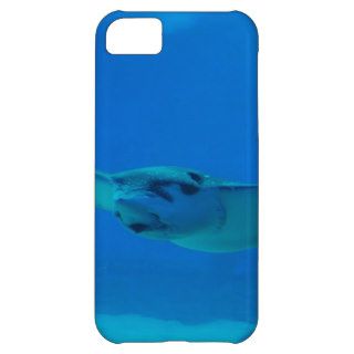 Stingray Swimming Under Water iPhone 5C Case