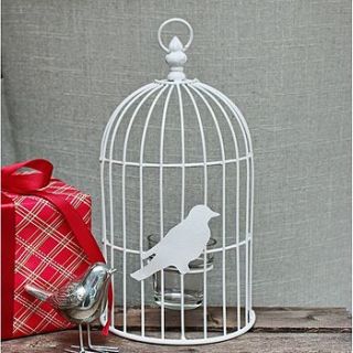 ivory bird cage wall hanging t light holder by marquis & dawe