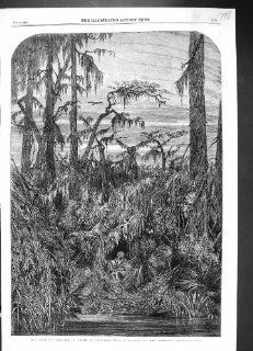Antique Print of 1858 Fine Art Swamp Louisiana Native Man Trees Bodichon  