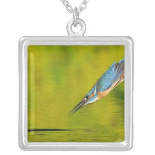 Common kingfisher diving to catch fish custom jewelry