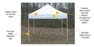 ShelterLogic Pro Series Pop-Up Canopy — 10ft. x 10ft., Open Top, Straight Leg  Pop Up Canopies