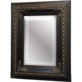 Imagination Mirrors 67.75 H x 55.5 W Decorative Beauty Wall Mirror