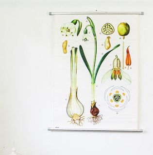vintage snow drop school chart by bonnie and bell
