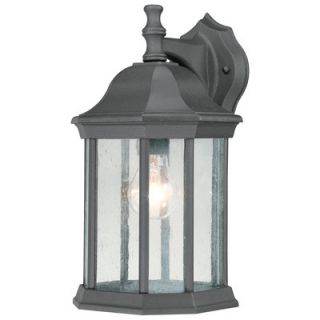 thomas lighting hawthorne 1 light outdoor wall lantern