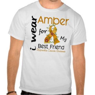 Appendix Cancer I Wear Amber For My Best Friend 43 T Shirts