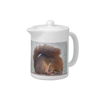 Yoga Squirrel Teapot