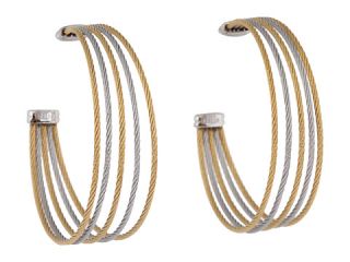 Charriol Earring Modern Cable Mix 03 34 S760 00 Stainless Steel Gold