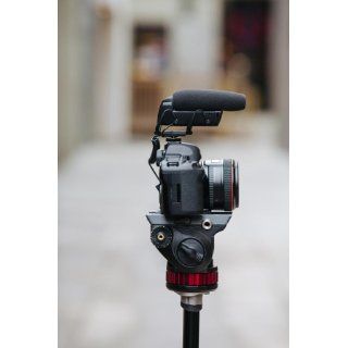Shure VP83 LensHopper Camera Mounted Condenser Microphone  Professional Video Microphones  Camera & Photo