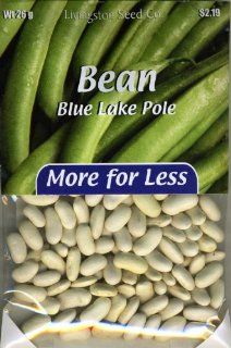 Blue Lake Pole Bean   100+ Seeds   PLUS PACK SAVINGS  Vegetable Plants  Patio, Lawn & Garden
