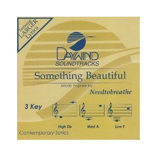 Daywind Soundtracks Something Beautiful made Popular by Needtobreathe [Accompaniment/Performance Track] Music