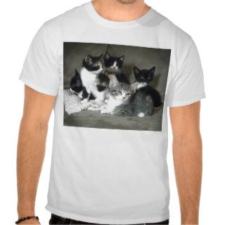 Kitty Love Times 5 Tee Shirts