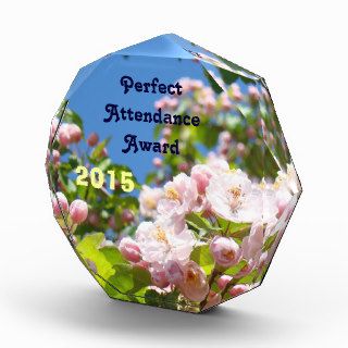 Perfect Attendance Award Add Year Pink Blossoms