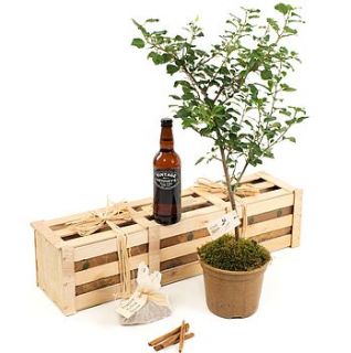 cider lover's gift crate by the gluttonous gardener