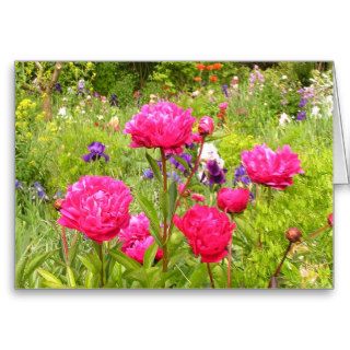 Peonies Cards