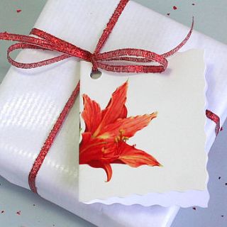 pack of six 'amaryllis' christmas gift tags by the botanical concept