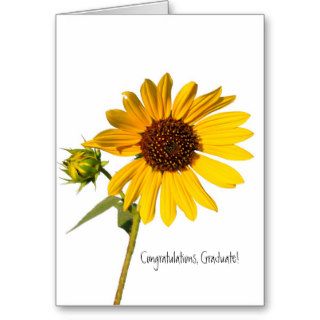 Sunflower Congratulations Graduate Card