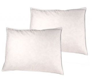 Northern Nights Queen Size Set of 2 Gusset Eurofeather Pillows —