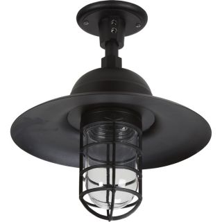 # 3866. Barn Light with Wall/Ceiling Sconce — 21in.L x 13in.W x 15in.H  Outdoor Lighting