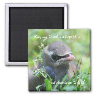 Baby Bird Too Cute Funny Nature Magnet