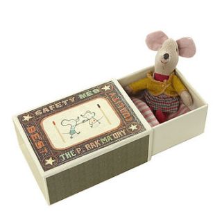 baby mouse in a matchbox by seahorse