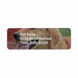 Adorable Golden Retriever Return Address Label