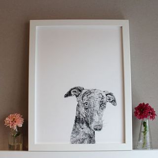 'percy the whippet dog' print by ros shiers