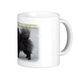 Pomeranian 9R042D 47 Mugs